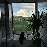 Forest Hub