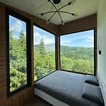 Forest Hub *