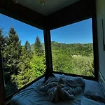 Forest Hub Szlavszke