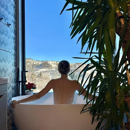 Forest Hub * Slavske