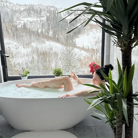 Forest Hub Slavske