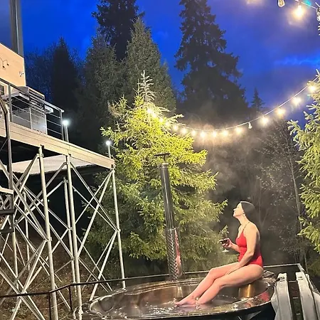 Chalet Forest Hub Slavske