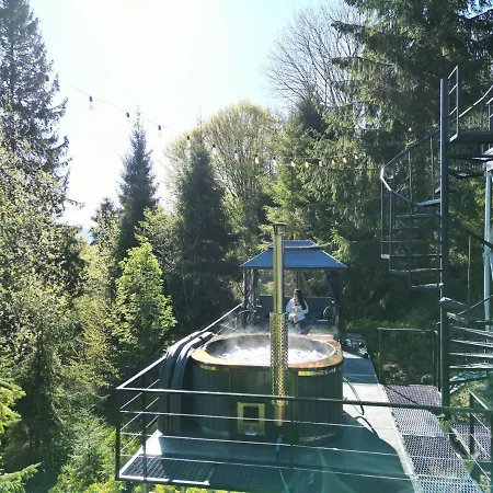Forest Hub Chalet