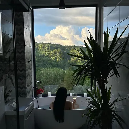 Forest Hub