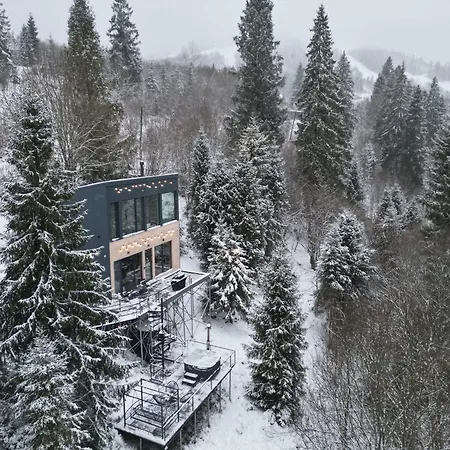 Forest Hub *