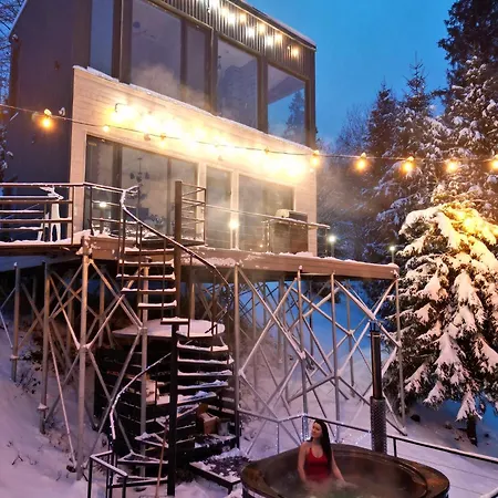 Alpstuga Forest Hub *