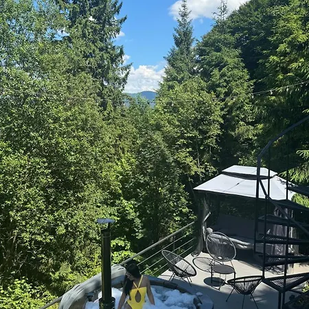 Alpstuga Forest Hub *