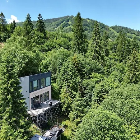 Forest Hub
