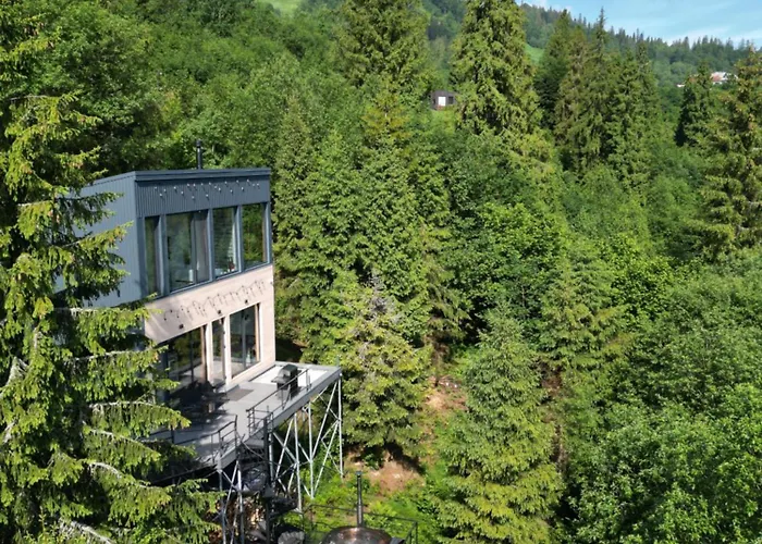 Forest Hub * 斯拉夫西克