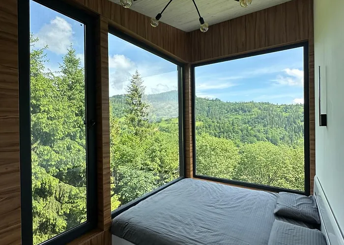 Forest Hub *