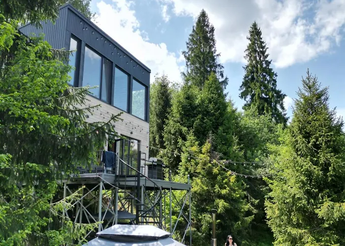 Forest Hub